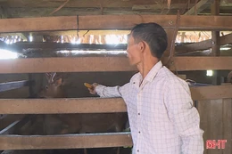 Về Hương Phố xem người dân nuôi hươu trên "nhà tầng"