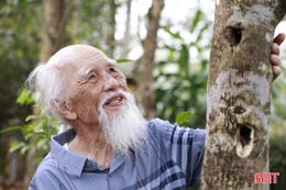 Người gieo "vàng thơm" ở vùng trầm Hà Tĩnh