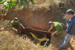 Hai kẻ giang hồ đào hố giữa rừng sâu, chuẩn bị 4 xe máy đi cướp ngân hàng