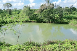 Đắk Lắk: Rủ nhau đi tắm hồ, 3 em nhỏ bị đuối nước thương tâm