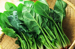 5 thực phẩm giúp bổ gan, giải độc tự nhiên