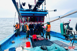 Nhiều tàu cá ngoại tỉnh bị bắt vì đánh bắt hải sản trái phép