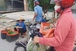 Chim trời bị vặt lông, xâu mắt, bày bán ngay tỉnh lộ