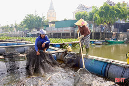 Người nuôi trồng thuỷ sản ứng phó với mùa mưa bão
