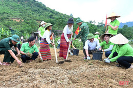 Người Chứt ở Hà Tĩnh lần đầu xuống đồng sản xuất vụ đông