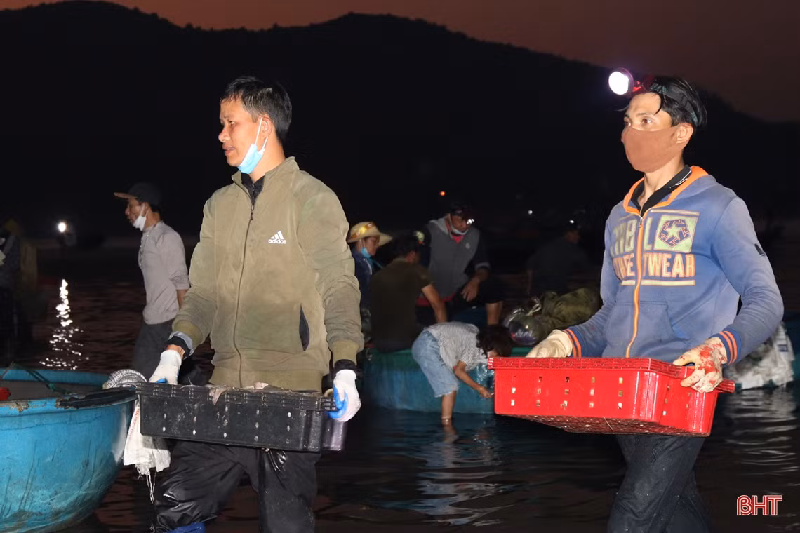 Về Hà Tĩnh đừng quên ghé chợ cá Cồn Gò!