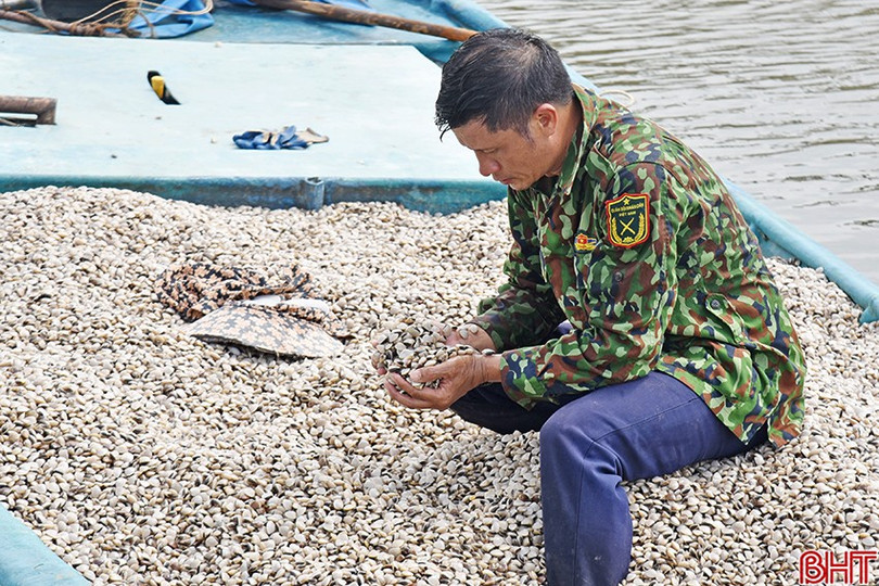 Người dân kiểm tra chất lượng, kích cỡ con giống trước khi thả nuôi. image-2.jpg