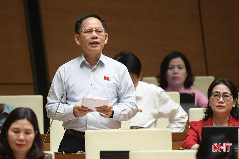 Phó Trưởng đoàn chuyên trách Trần Đình Gia phát biểu thảo luận. bqbht_br_anh1dbqhtrandinhgiachieu411.jpg