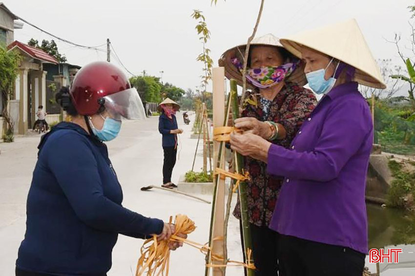 Người dân thôn Đồng Xuân chăm sóc cây xanh, cảnh quan môi trường. dsc-1544-copy-4796.jpg