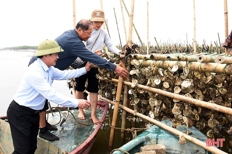 Mô hình nuôi hàu tự nhiên, ngao cho thu nhập tiền tỷ mỗi năm của CCB Nguyễn Văn Việt ở xã Mai Phụ (Lộc Hà). dsc-4322-1-3973.jpg