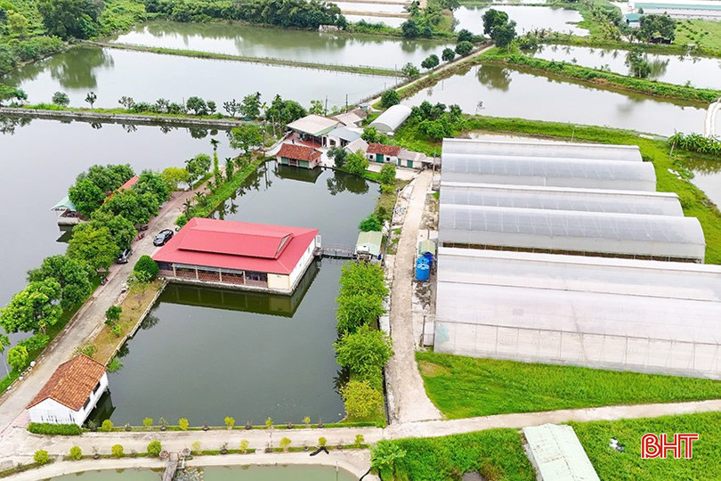 Toàn cảnh mô hình trang trại của HTX Nga Hải (Nghi Xuân) do CCB Lê Văn Bình làm chủ. z5908503832073-98b7cf9f8ac74798e8bc3d34ef0a8e10-3049.jpg