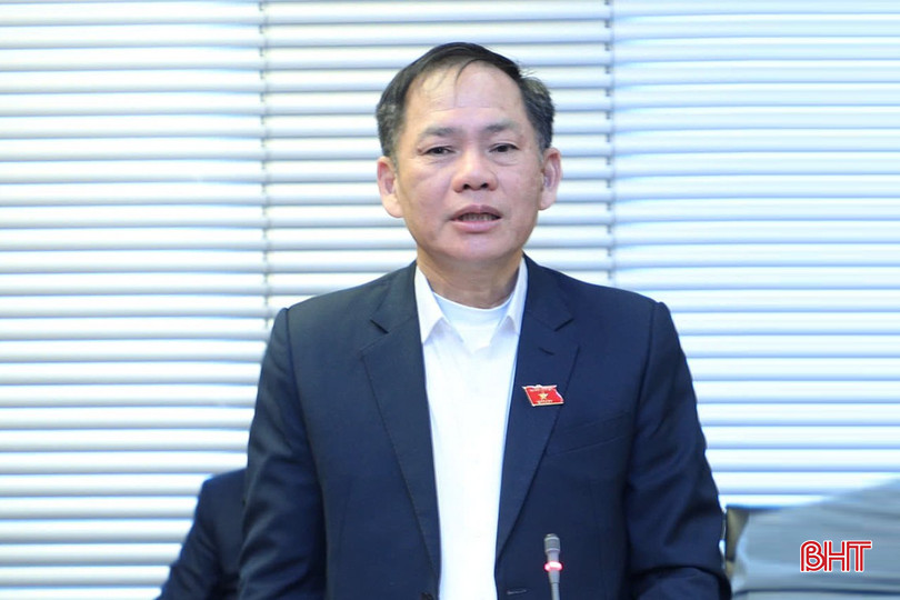 Phó Trưởng đoàn chuyên trách Đoàn ĐBQH Hà Tĩnh Trần Đình Gia phát biểu tại buổi thảo luận tổ. bqbht_br_2-dai-bieu-tran-dinh-gia-phat-bieu-tai-buoi-thao-luan.jpg