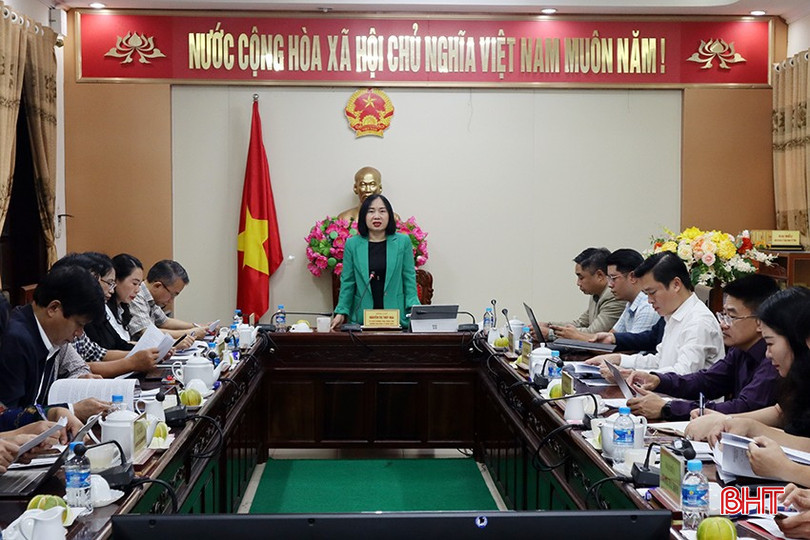 Trưởng ban Kinh tế - Ngân sách HĐND tỉnh Nguyễn Thị Thúy Nga chủ trì buổi làm việc. bqbht_br_img-8969.jpg