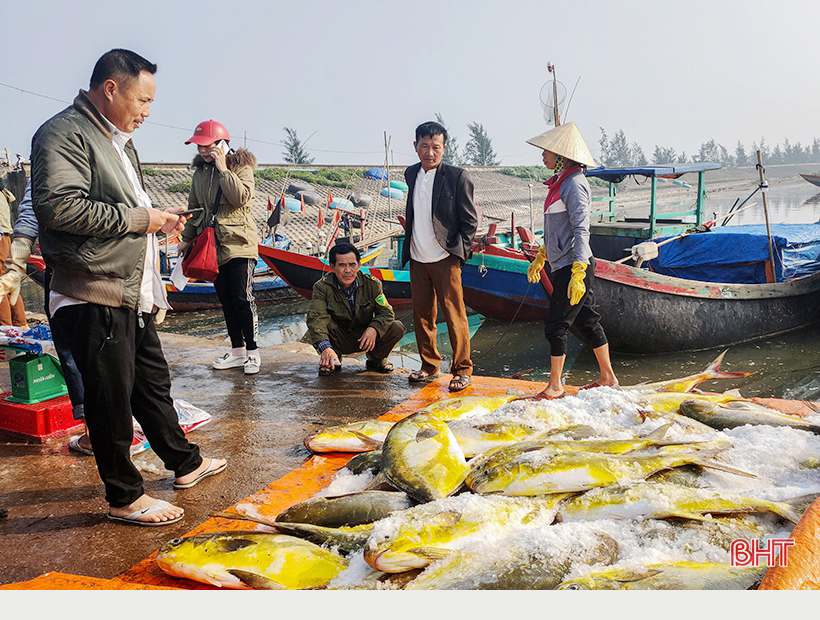 Nghe lão ngư Hà Tĩnh kể lại chuyện săn cá vàng dương ảnh 6 Nghe lão ngư Hà Tĩnh kể lại chuyện săn cá vàng dương