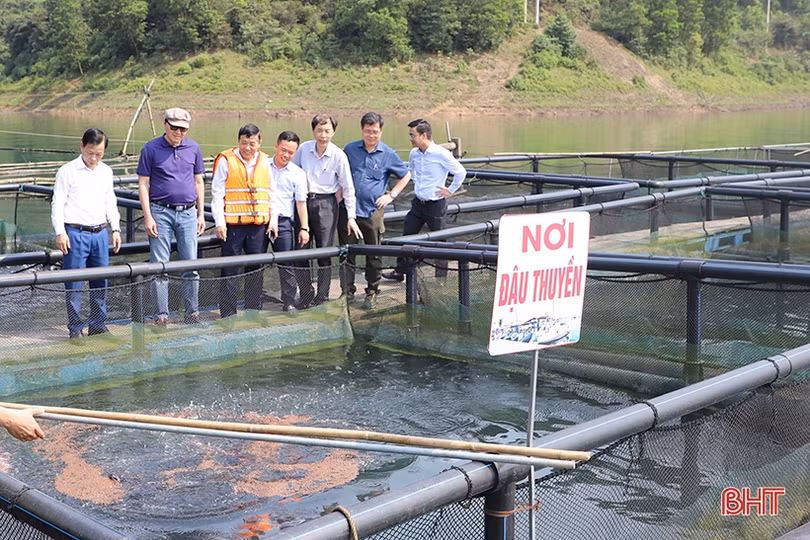 Nhóm Tư vấn phát triển bền vững Hà Tĩnh tại Hà Nội tham quan một số di sản, công trình trọng điểm