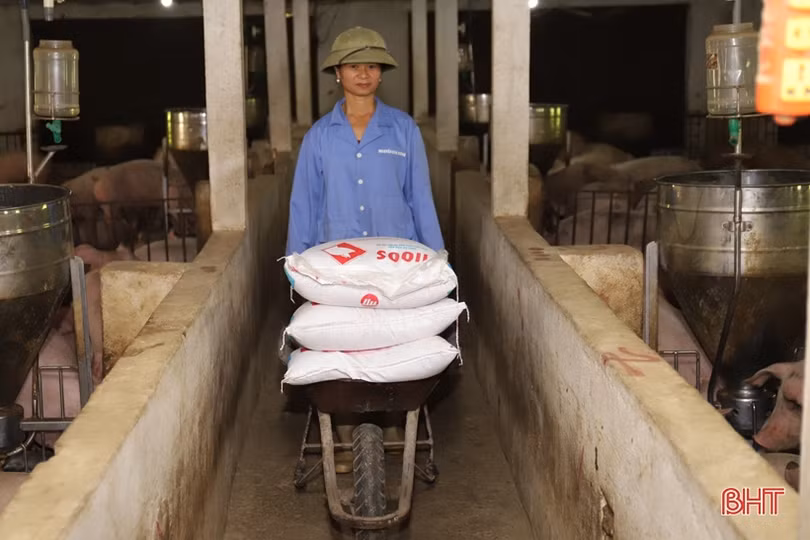 Mô hình liên kết “3 nhà” cho thu nhập hàng trăm triệu đồng/năm ở Hương Sơn