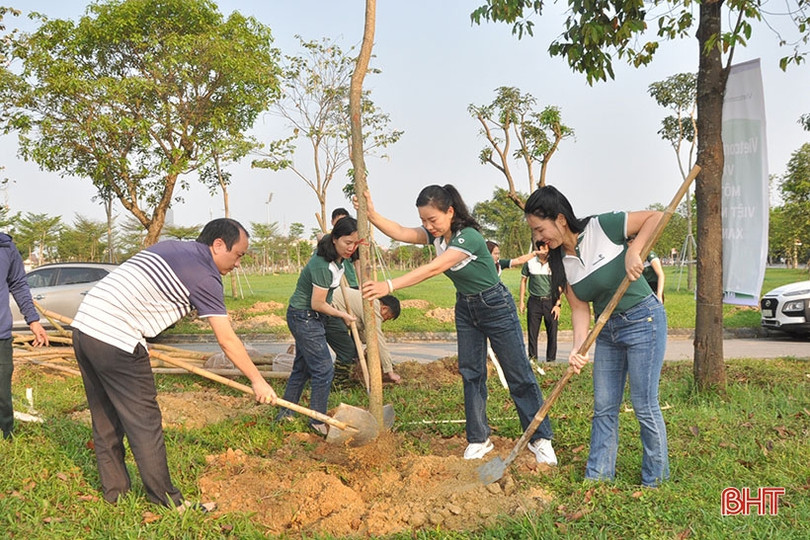 Vietcombank tài trợ TP Hà Tĩnh 250 triệu đồng trồng 1.000 cây hoa ban