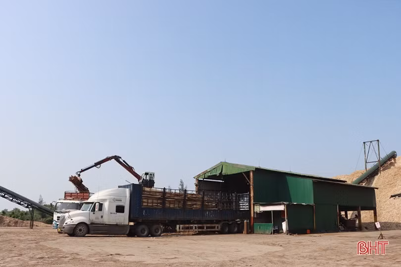 Xuất khẩu qua cụm cảng Vũng Áng – Sơn Dương tăng trưởng khả quan