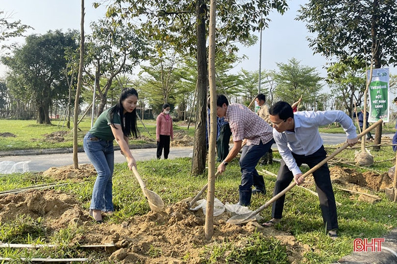 Vietcombank tài trợ TP Hà Tĩnh 250 triệu đồng trồng 1.000 cây hoa ban