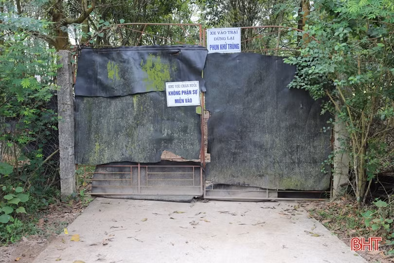 Mô hình liên kết “3 nhà” cho thu nhập hàng trăm triệu đồng/năm ở Hương Sơn