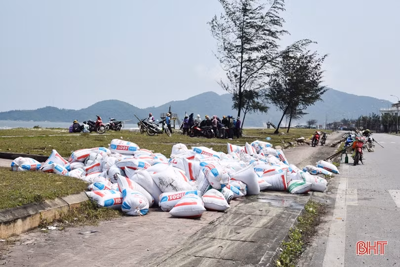 Người dân ven biển Lộc Hà “trúng đậm” ốc ruốc