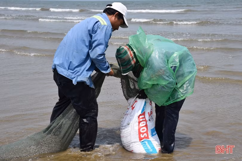 Người dân ven biển Lộc Hà “trúng đậm” ốc ruốc