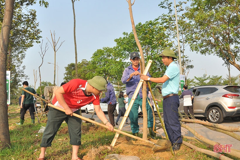 Vietcombank tài trợ TP Hà Tĩnh 250 triệu đồng trồng 1.000 cây hoa ban