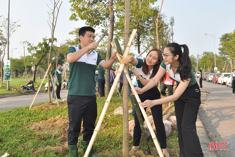 Vietcombank tài trợ TP Hà Tĩnh 250 triệu đồng trồng 1.000 cây hoa ban