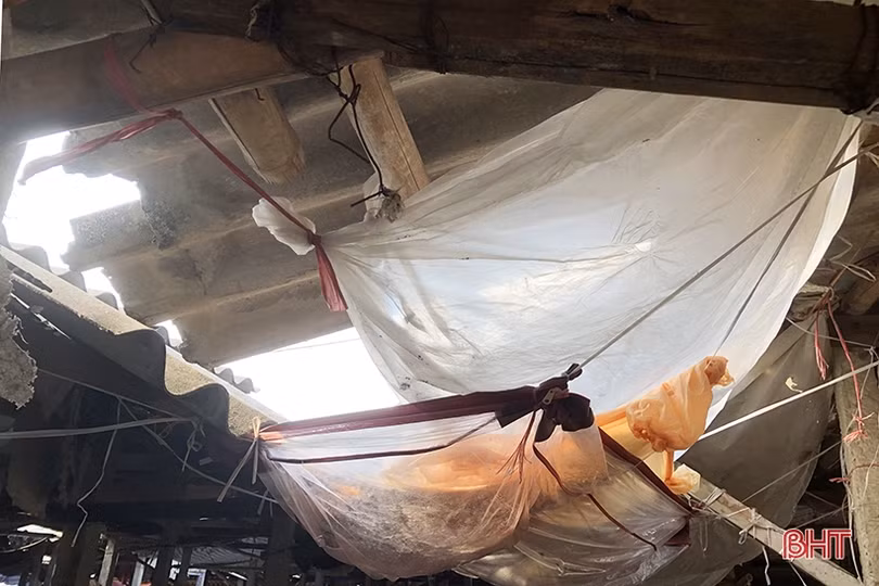 Cảnh tượng nhếch nhác khó tin ở chợ trung tâm huyện Nghi Xuân