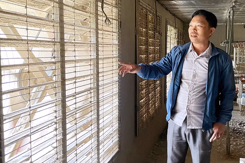 Nuôi gà Ai Cập đẻ trứng ở Thạch Hà