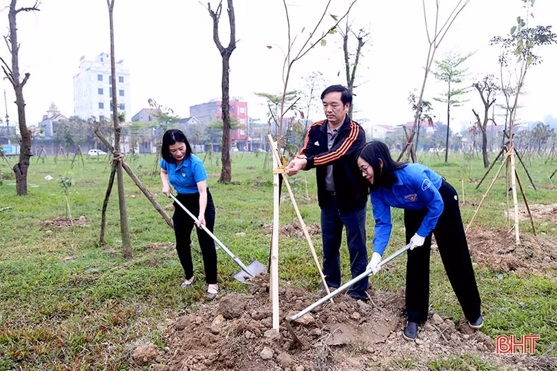 Trồng cây vì thành phố tương lai