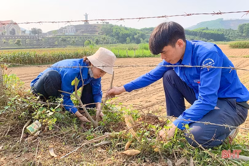 Đoàn viên thanh niên Hà Tĩnh hưởng ứng “Ngày Chủ nhật xanh”