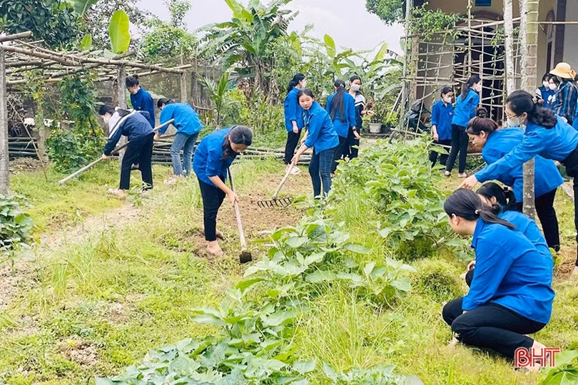 Đoàn viên thanh niên Hà Tĩnh hưởng ứng “Ngày Chủ nhật xanh”