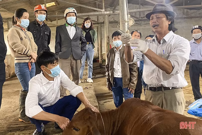 Hơn 300 người tham gia tập huấn tiêm phòng gia súc, gia cầm