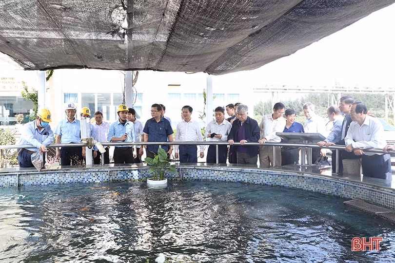 Nhóm Tư vấn phát triển bền vững Hà Tĩnh tại Hà Nội ấn tượng với sự phát triển của KKT Vũng Áng