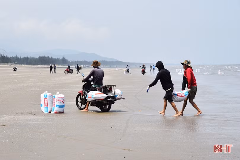 Người dân ven biển Lộc Hà “trúng đậm” ốc ruốc