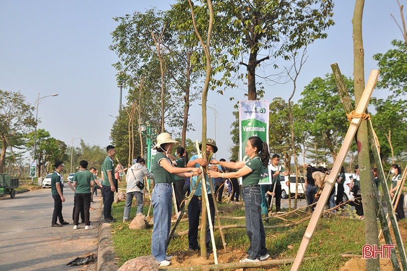 Vietcombank tài trợ TP Hà Tĩnh 250 triệu đồng trồng 1.000 cây hoa ban