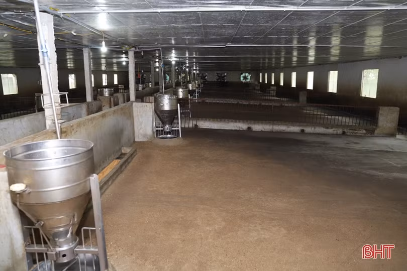 Mô hình liên kết “3 nhà” cho thu nhập hàng trăm triệu đồng/năm ở Hương Sơn