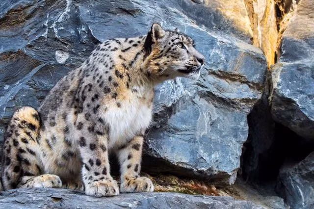 Vẻ đẹp ít người biết tới ở vùng đất kỳ lạ nhất thế giới