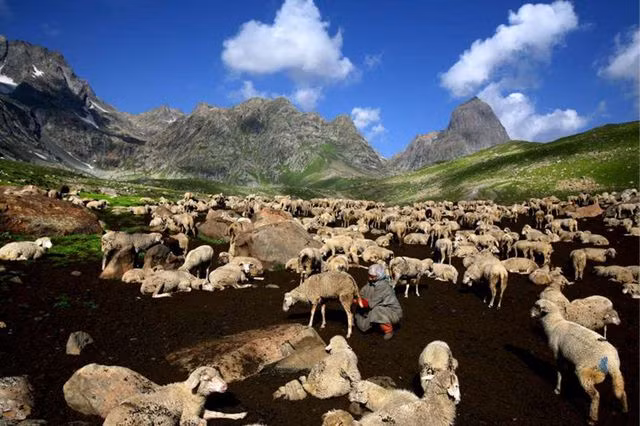 Vẻ đẹp ít người biết tới ở vùng đất kỳ lạ nhất thế giới