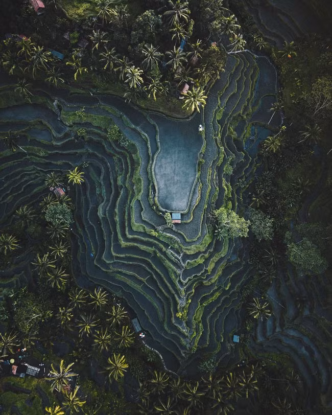 Việt Nam lọt top quốc gia có những bức ảnh đẹp nhất thế giới