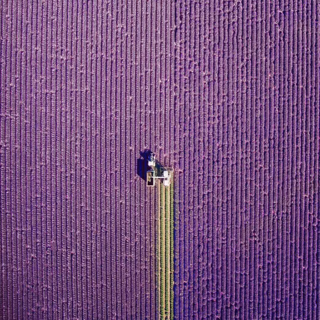 Việt Nam lọt top quốc gia có những bức ảnh đẹp nhất thế giới