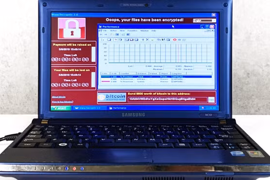 Chiếc laptop gom 6 loại virus nguy hiểm nhất giá 1,2 triệu USD