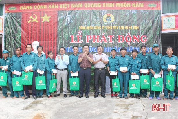 Công ty Cao su Hà Tĩnh quyết tâm khai thác 1.850 tấn mủ