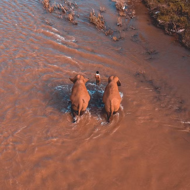 Việt Nam lọt top quốc gia có những bức ảnh đẹp nhất thế giới