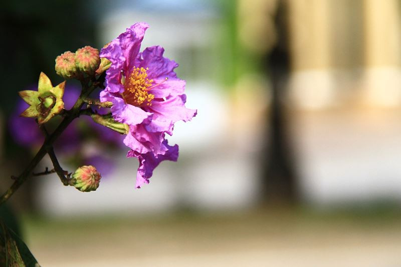 Ô hay mùa Hạ! ảnh 3 Ô hay mùa Hạ!