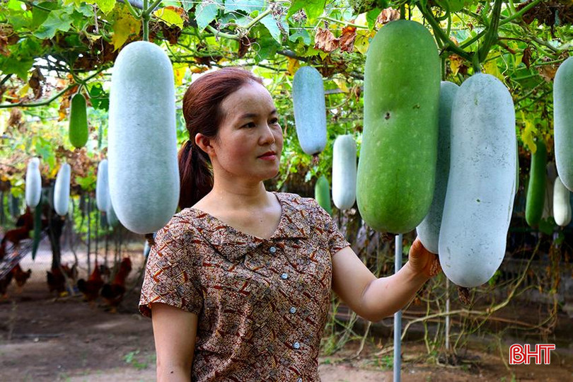 Chồng mất sớm nhưng chị vẫn vượt qua khó khăn phát triển kinh tế, nuôi dạy các con 5.jpg