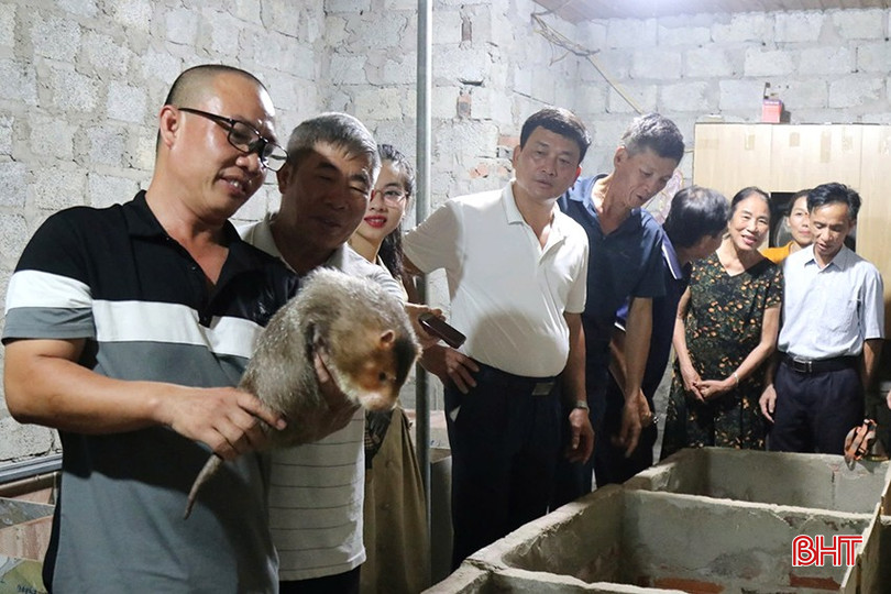 Nuôi con "đặc sản" mang lại cho anh Hùng thu nhập hàng trăm triệu đồng/năm. 7.jpg