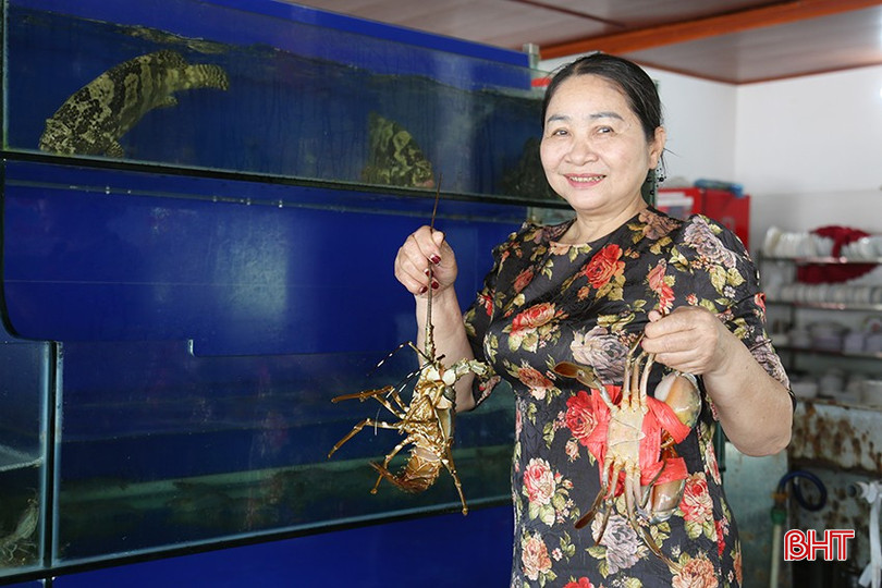 Du khách sẽ được thưởng thức các loại hải sản tươi ngon khi đến với Xuân Thành. bqbht_br_3-1860.jpg