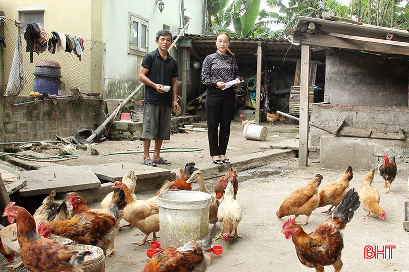 Các mô hình sinh kế giúp người dân vươn lên thoát nghèo 3.jpg